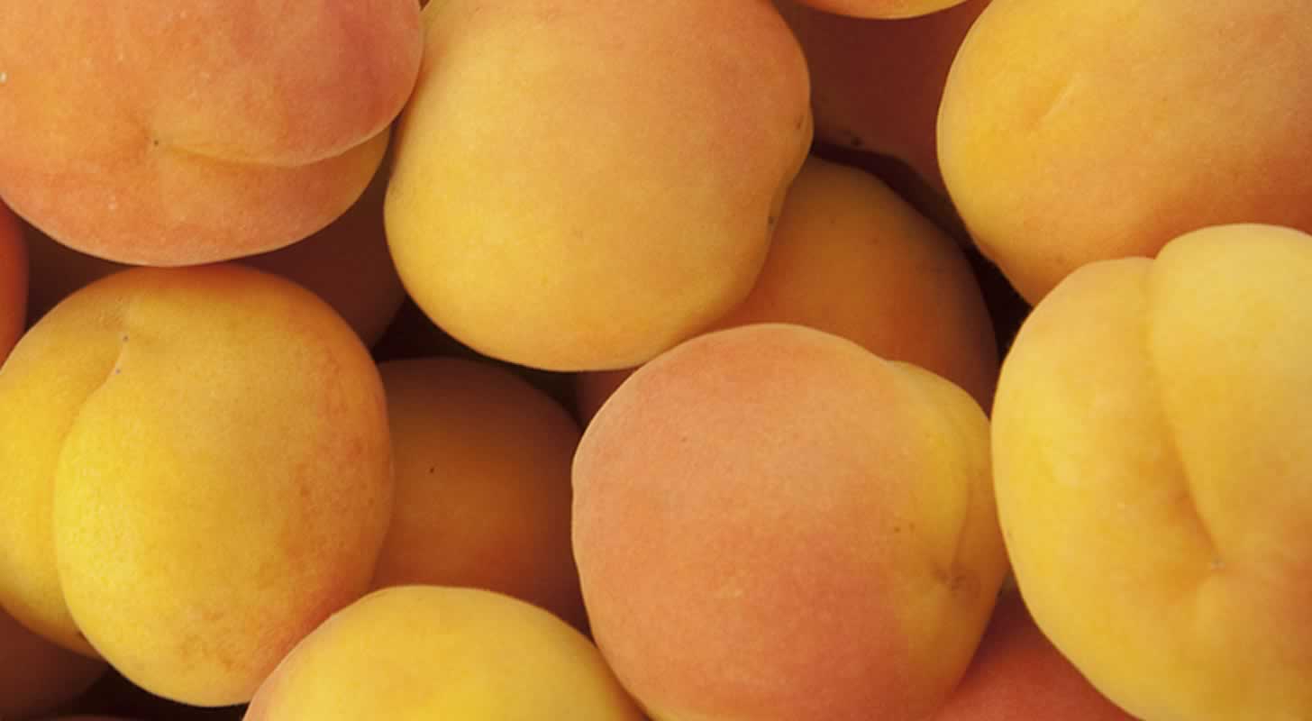 Konjak av aprikos: 2 recept hemma