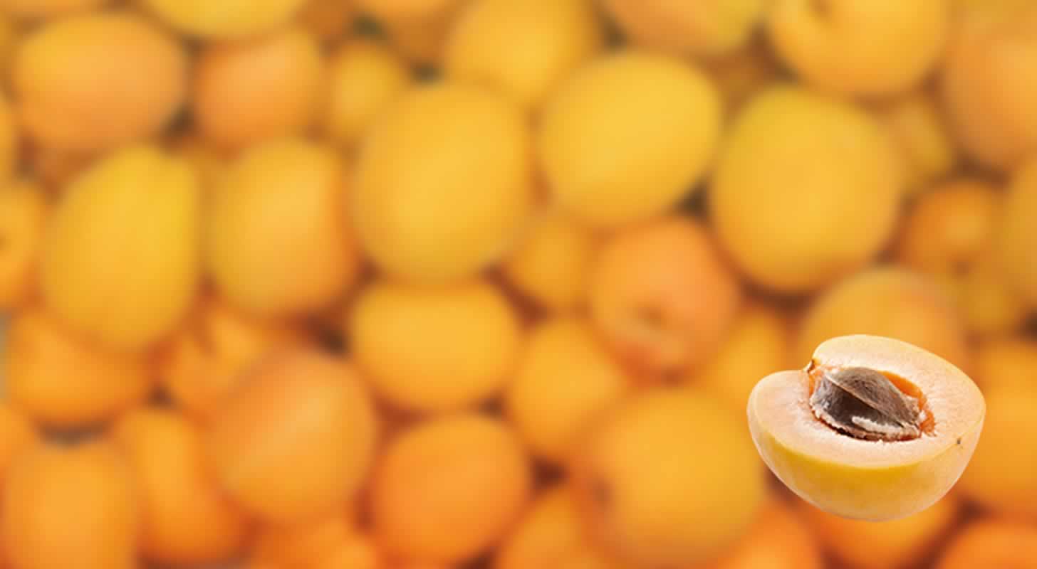 Aprikosbrygga och moonshine: 5 recept hemma
