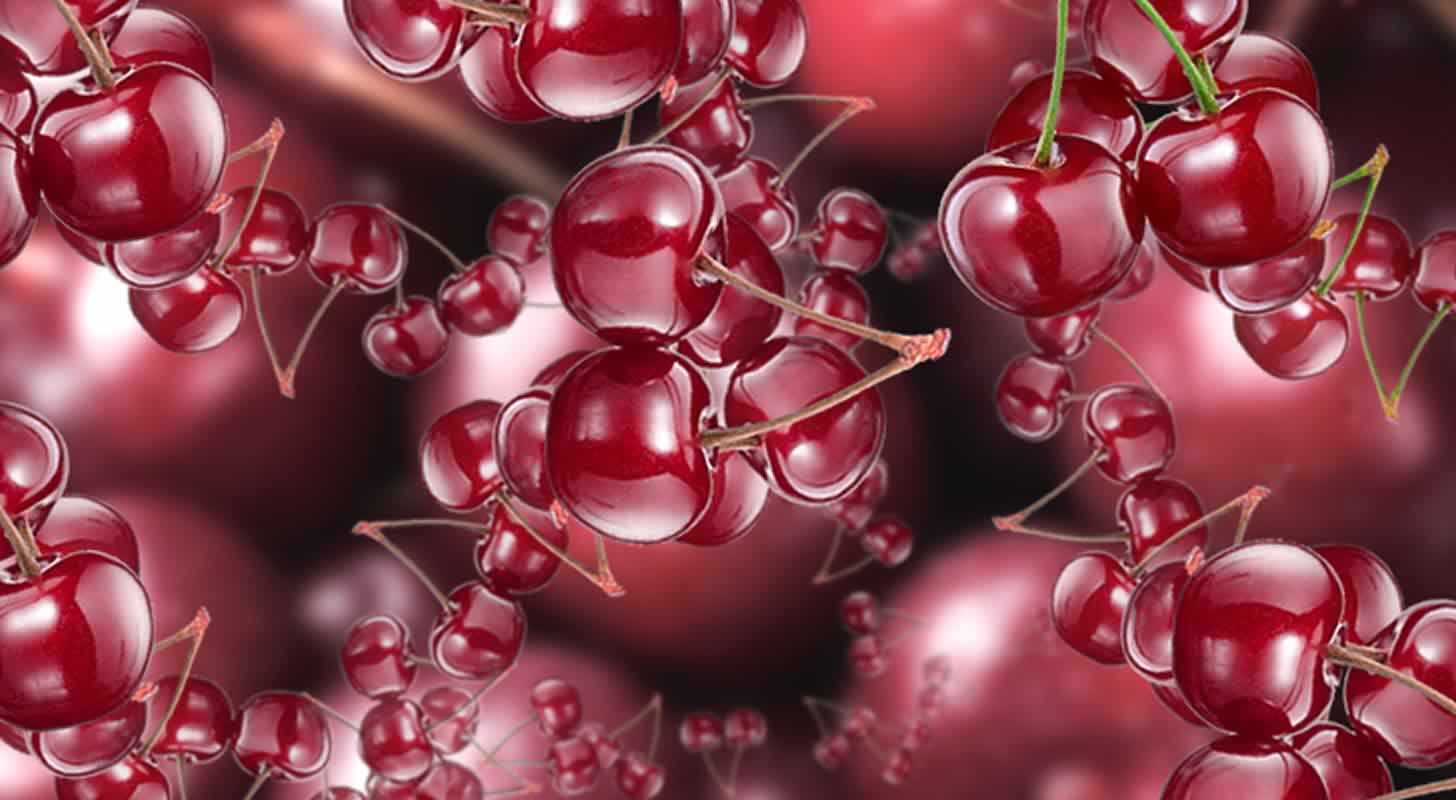 Körsbärstinktur: 10 recept hemma