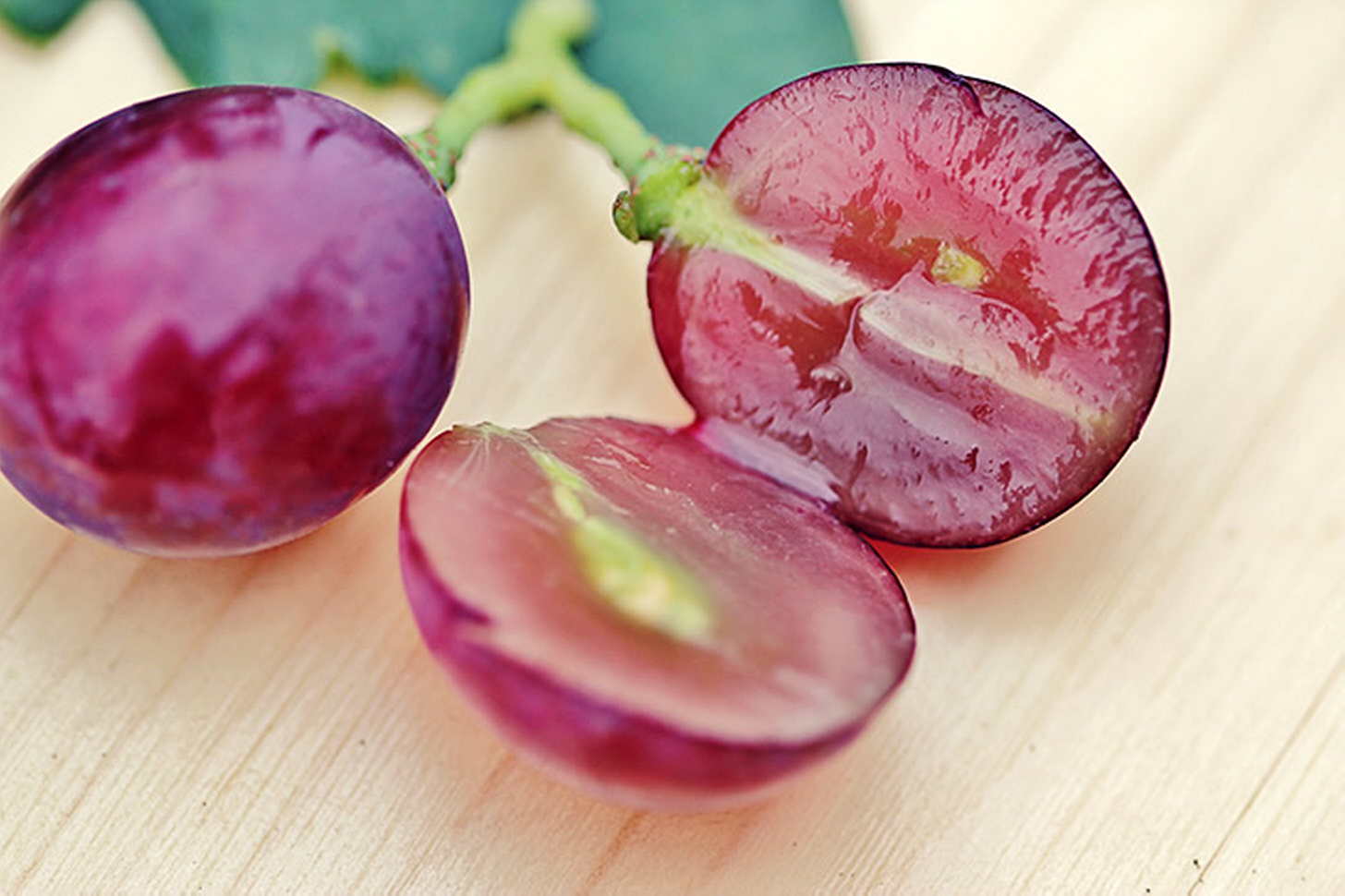 Танины в вине – свойства и вкусовые качества