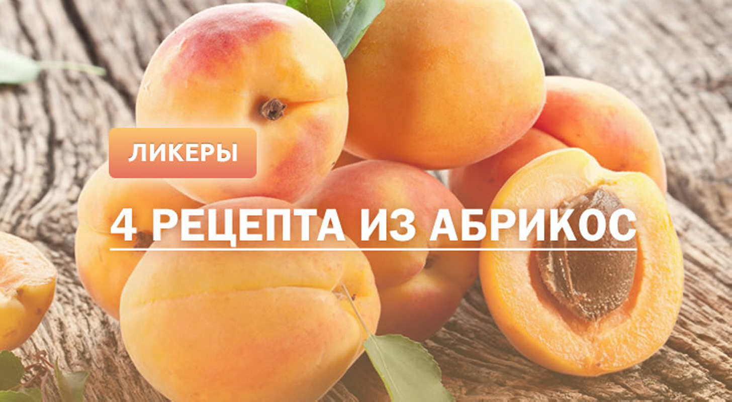 Абрикосовый ликер: 5 рецептов в домашних условиях