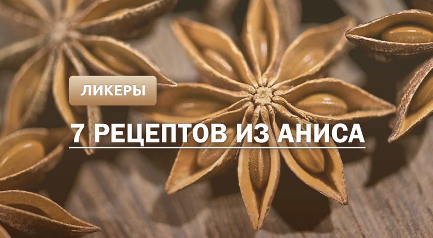 Анисовый ликер: 7 рецептов в домашних условиях