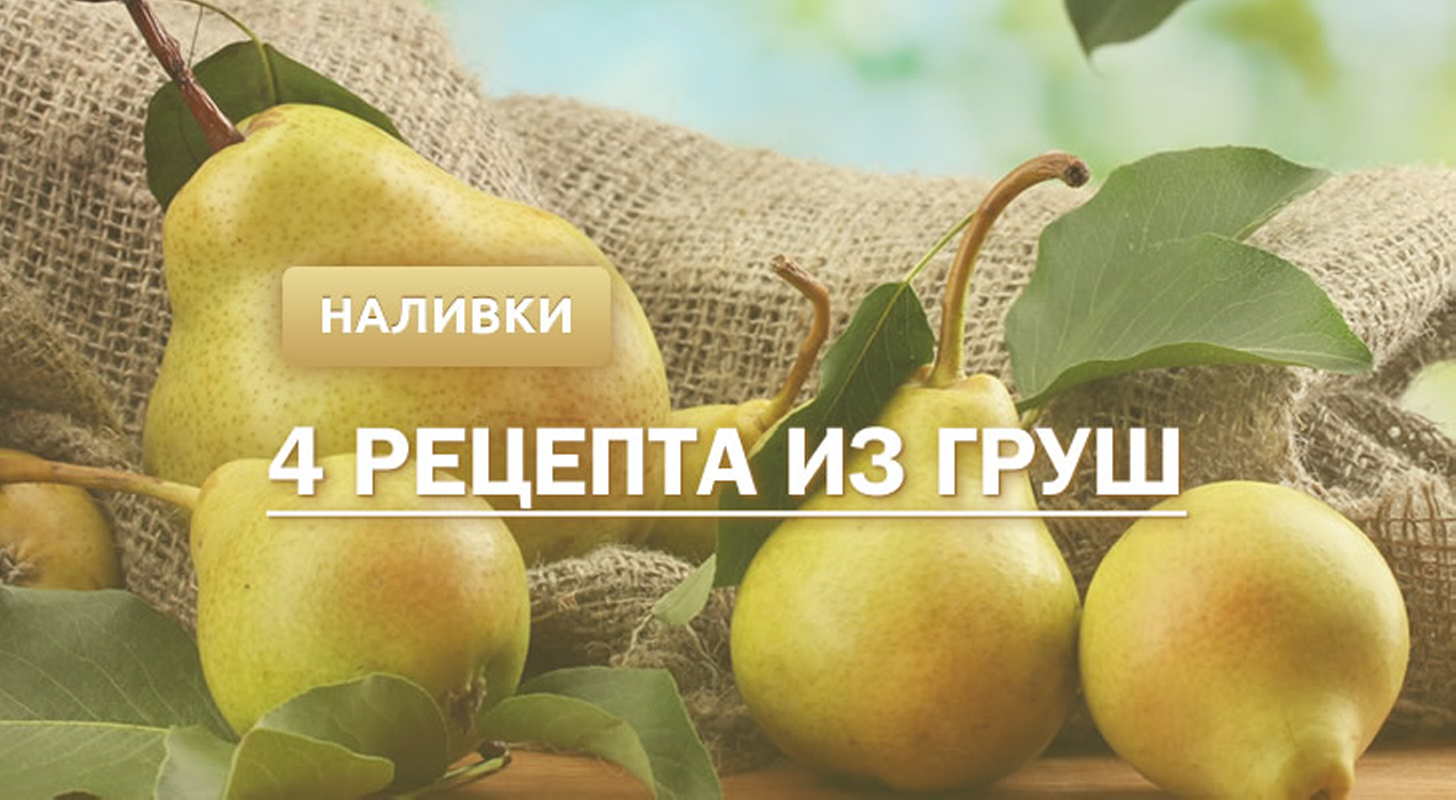 Наливка из груши: 4 рецепта в домашних условиях