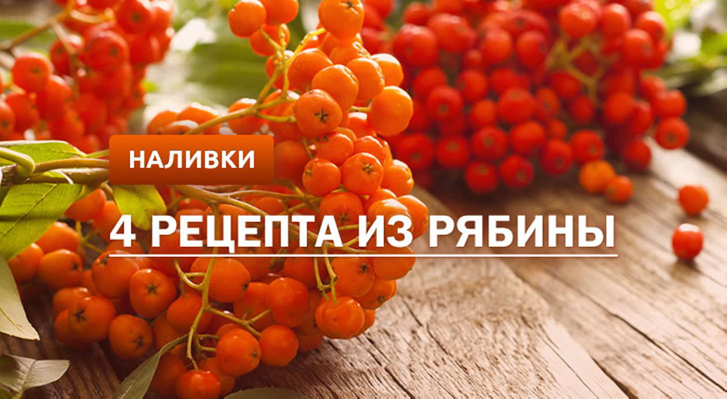 Наливка из рябины: 4 рецепта в домашних условиях