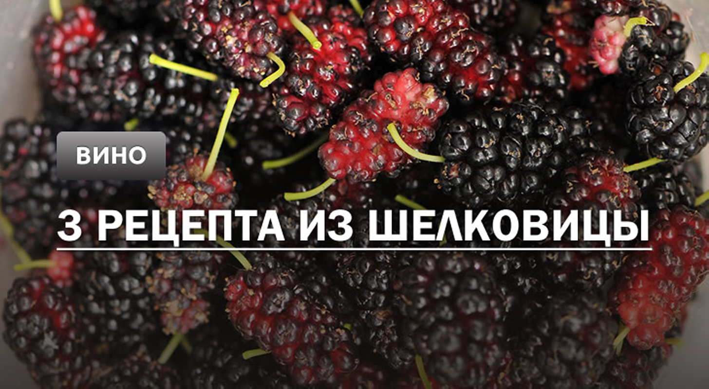 Вино из шелковицы: 3 рецепта в домашних условиях