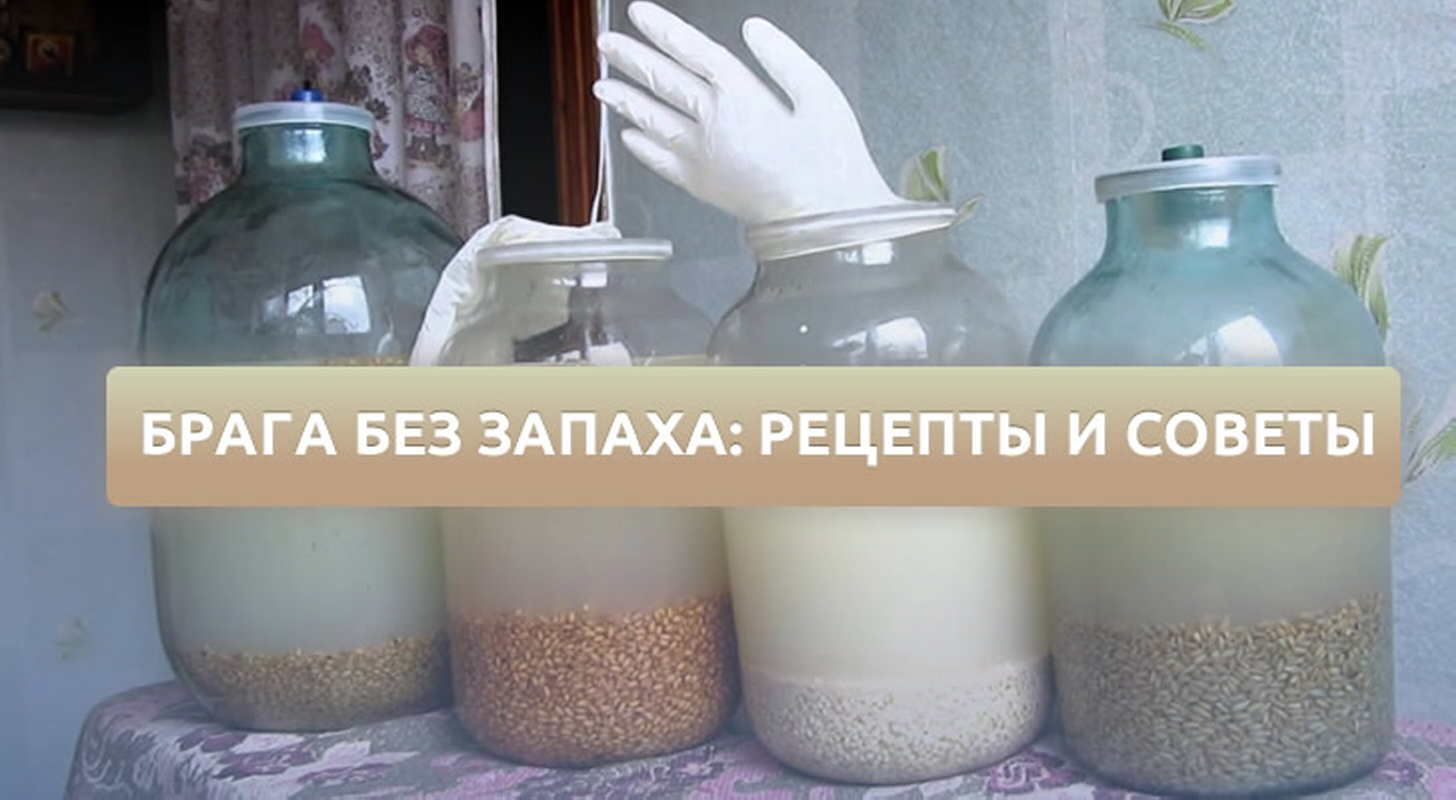 Брага без запаха: рецепты и советы от профессионала