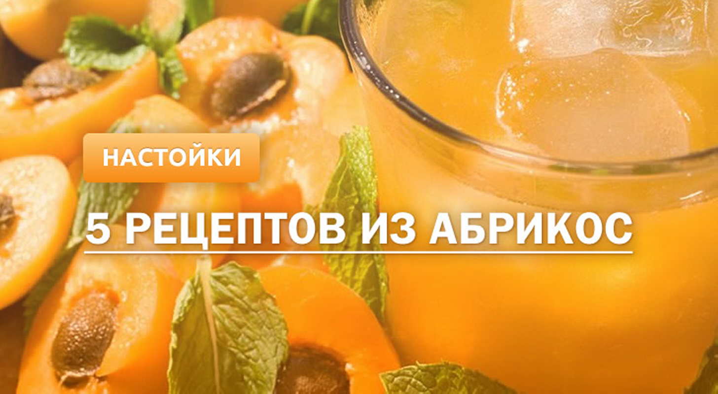 Абрикосовая настойка: 5 рецептов в домашних условиях