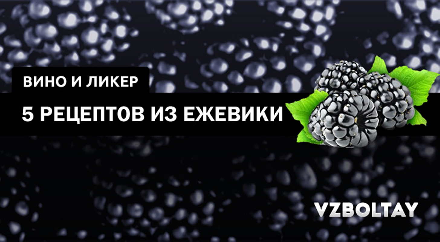 Вино и ликер из ежевики: 5 рецептов в домашних условиях