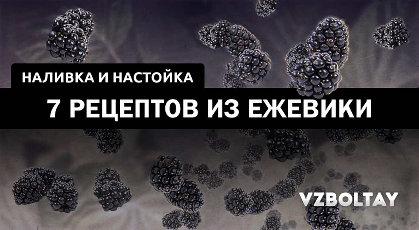 Наливка и настойка из ежевики: 7 рецептов в домашних условиях