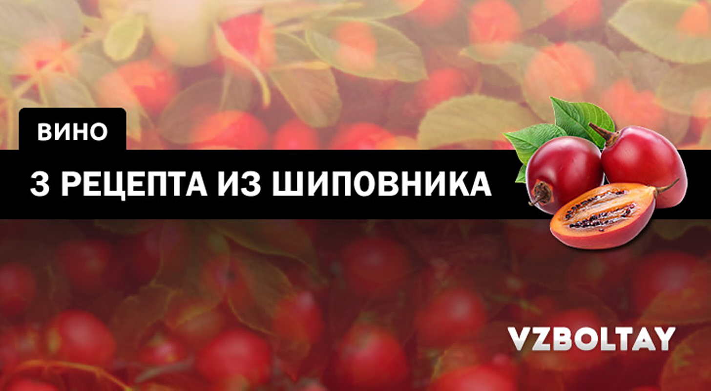 Вино из шиповника: 3 рецепта в домашних условиях