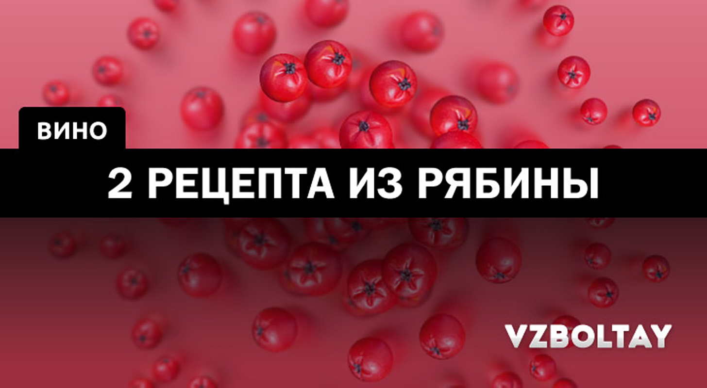 Вино из красной рябины: 2 рецепта в домашних условиях