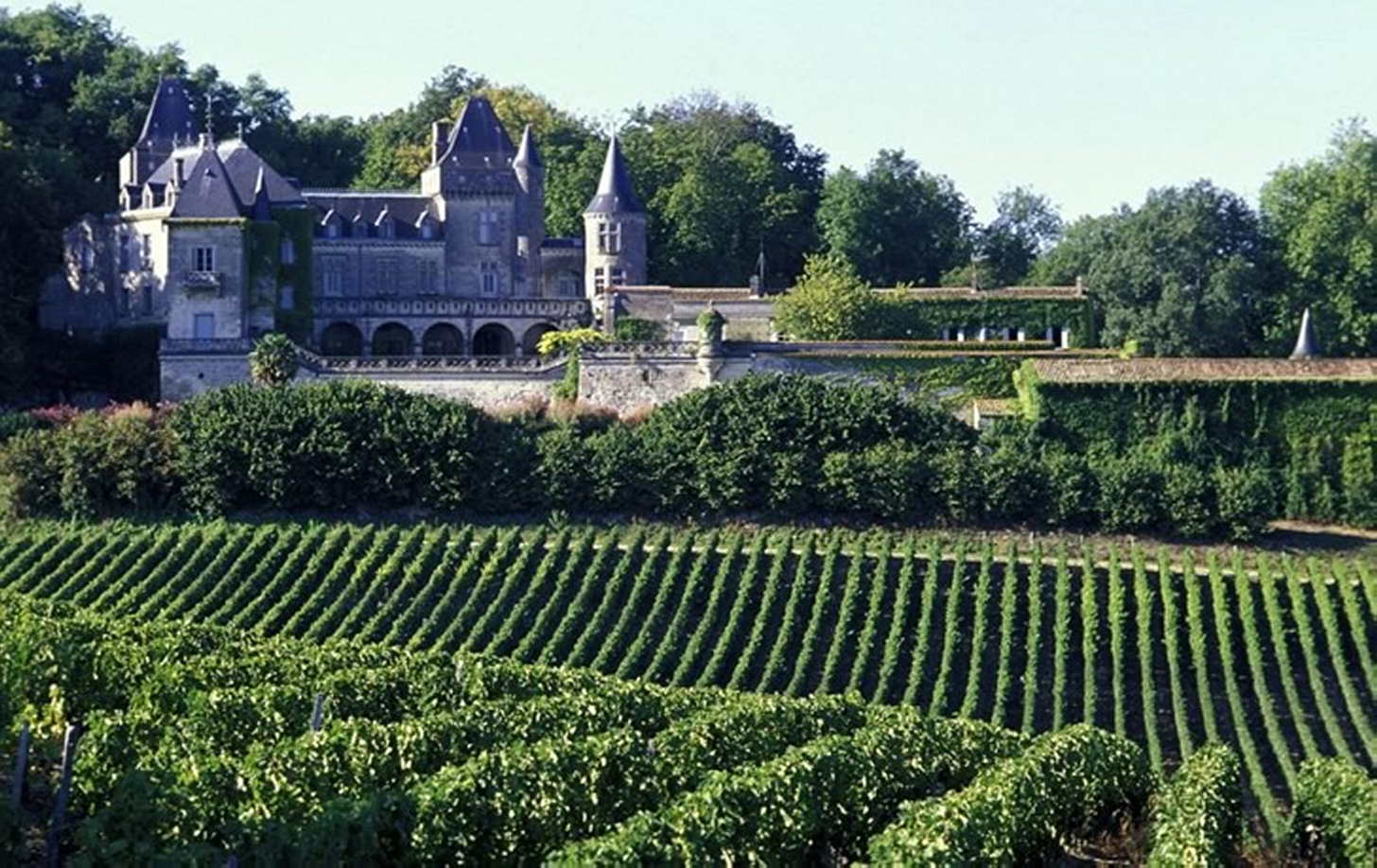 Francosko rdeče vino: kratka zgodovina in način pitja