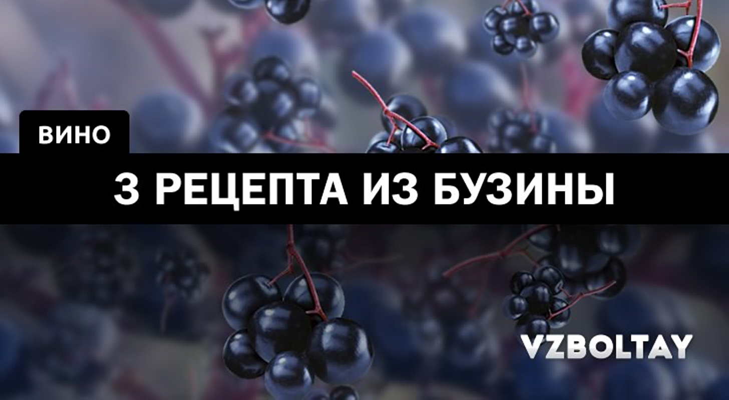 Вино из ягод бузины: 3 рецепта в домашних условиях