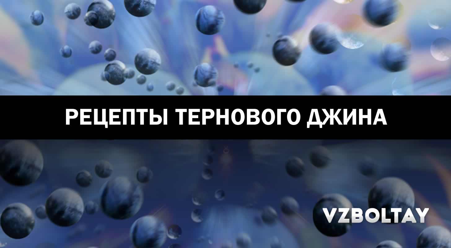 Терновый джин, наливка и вино: 3 рецепта в домашних условиях