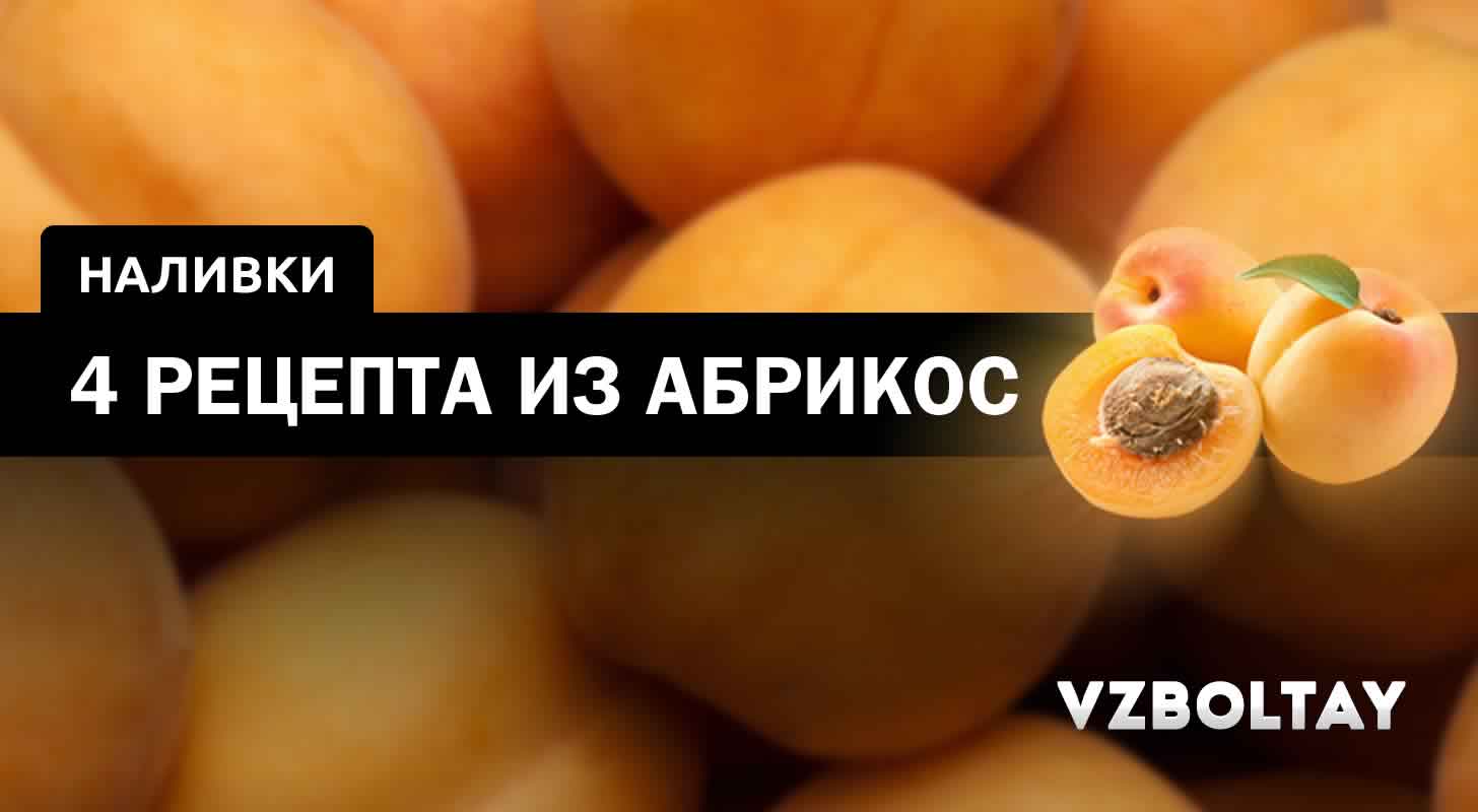 Абрикосовая наливка: 4 рецепта в домашних условиях