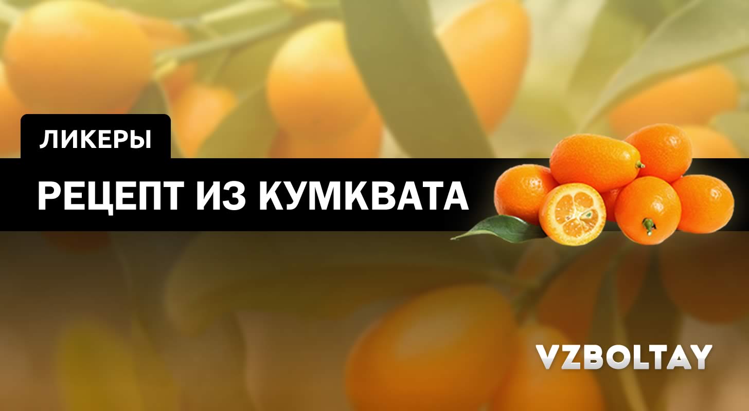 Ликер из Кумквата: рецепт в домашних условиях