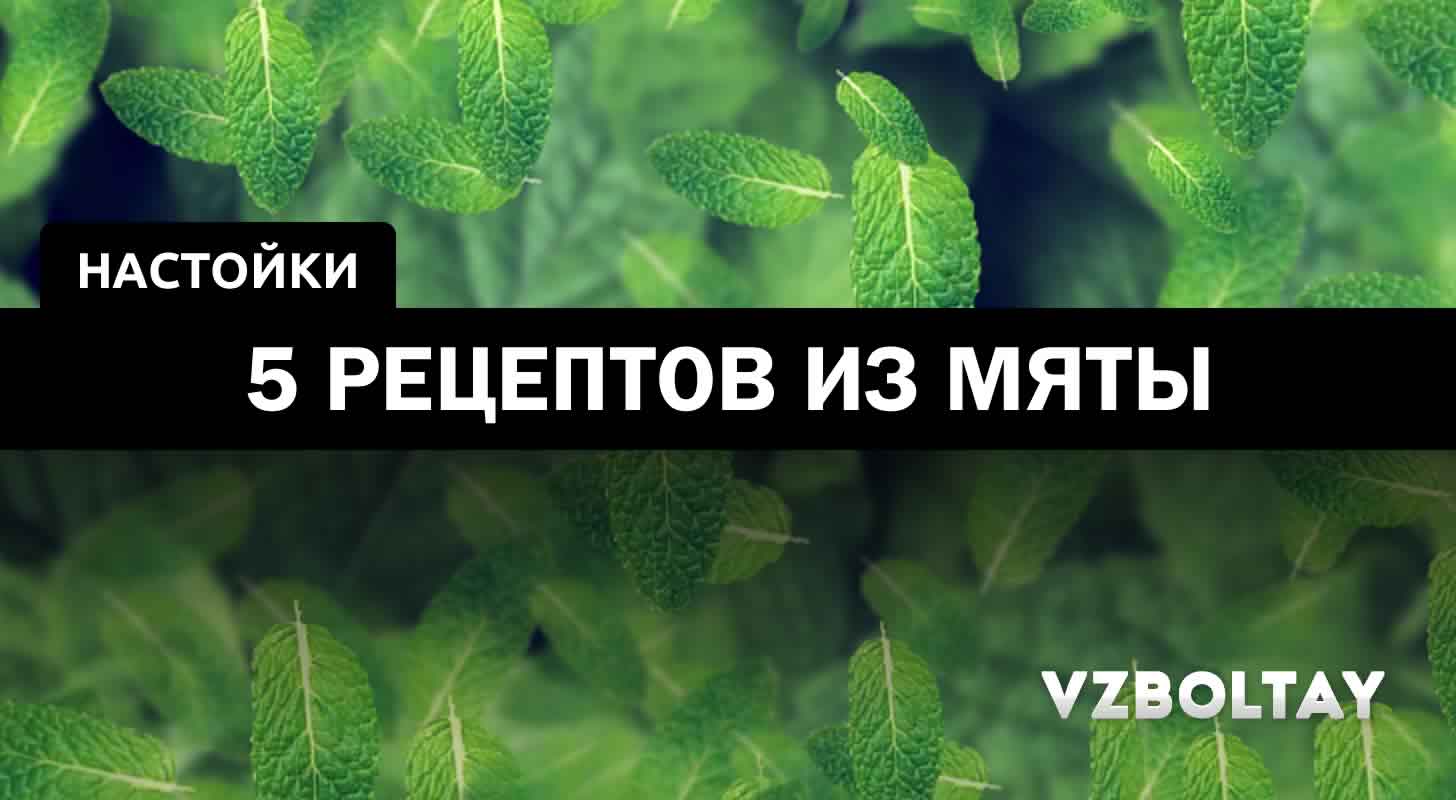 Мятная настойка: 5 рецептов в домашних условиях