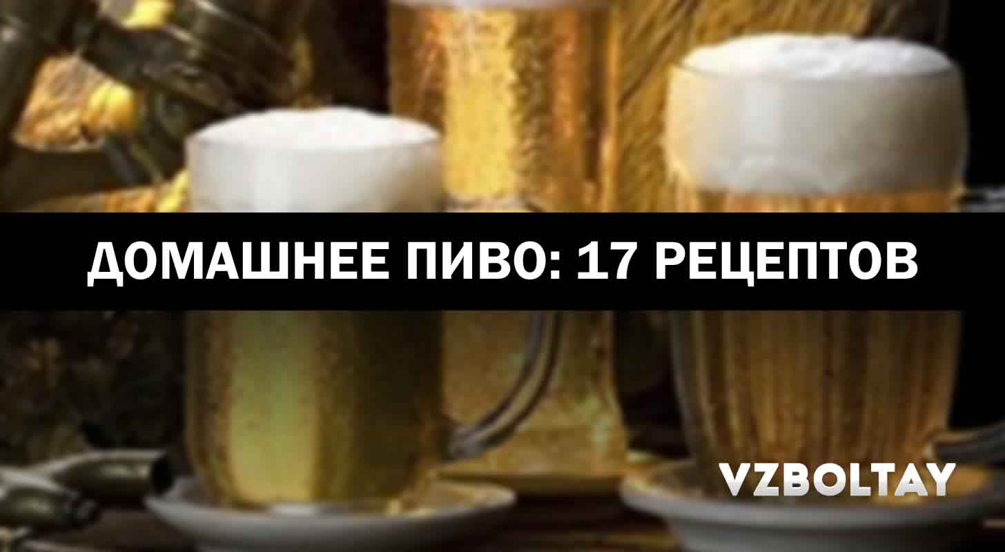 Домашнее пиво: 17 рецептов