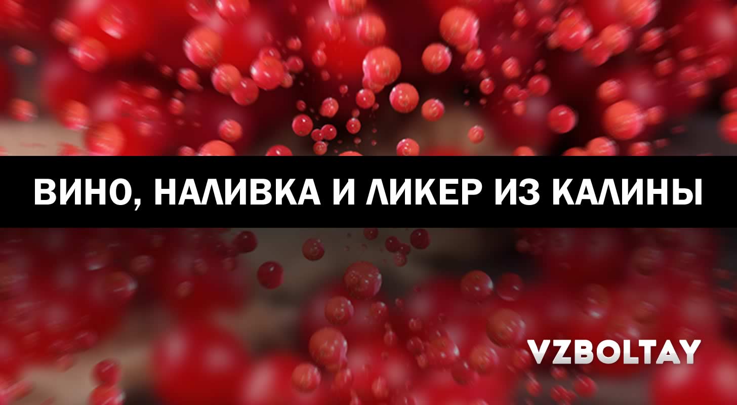 Вино, наливка и ликер из калины: 4 рецепта в домашних условиях