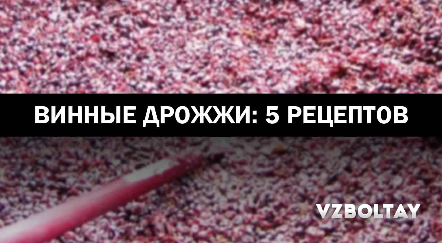 Винные дрожжи: 5 рецептов в домашних условиях