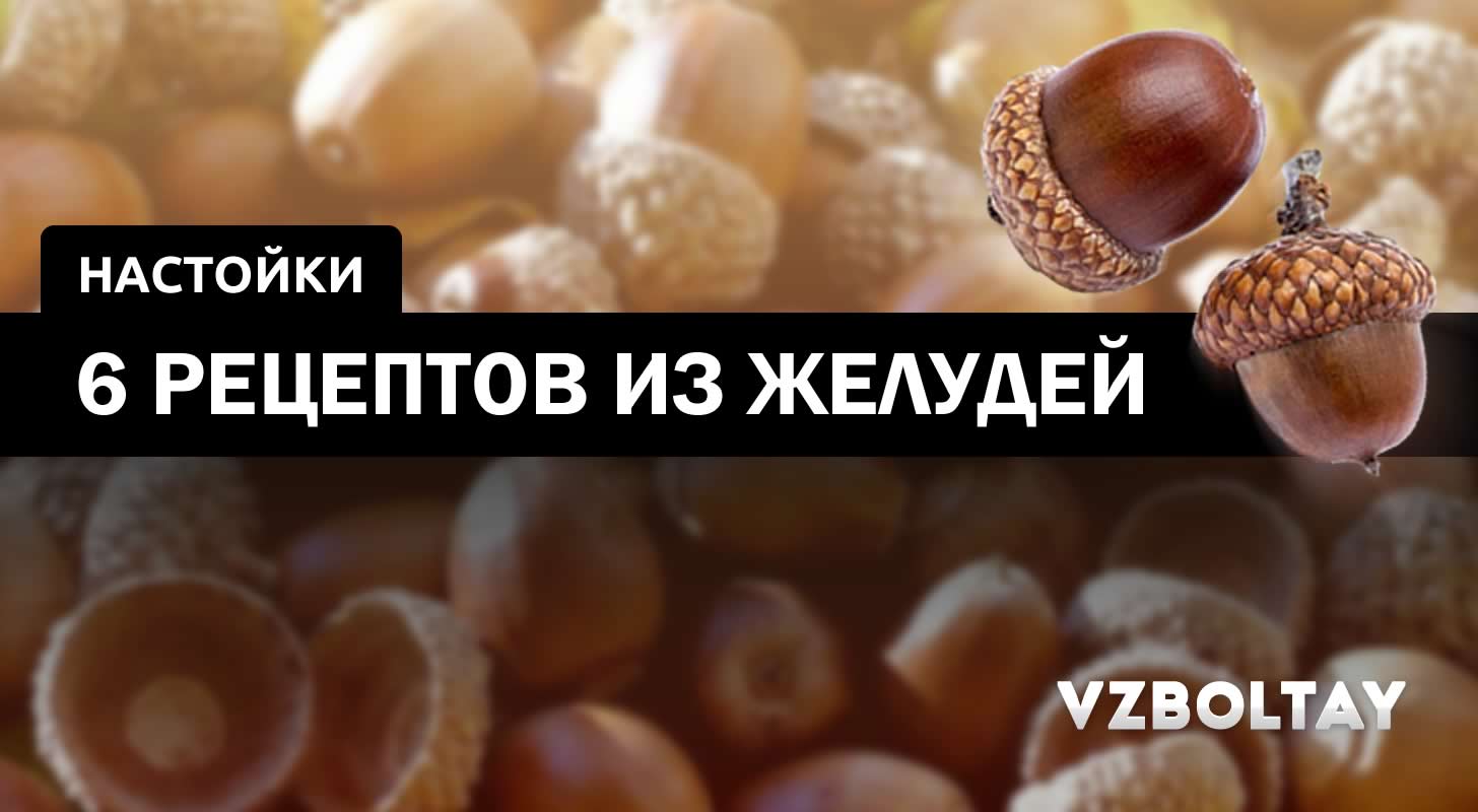 Настойки на желудях: 6 рецептов в домашних условиях