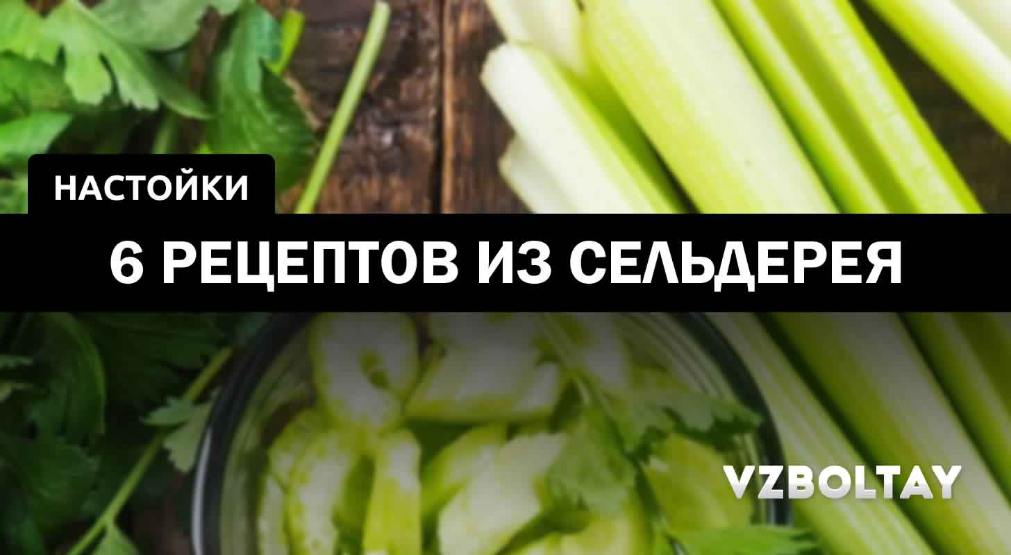 Настойка сельдерея: 6 рецептов в домашних условиях