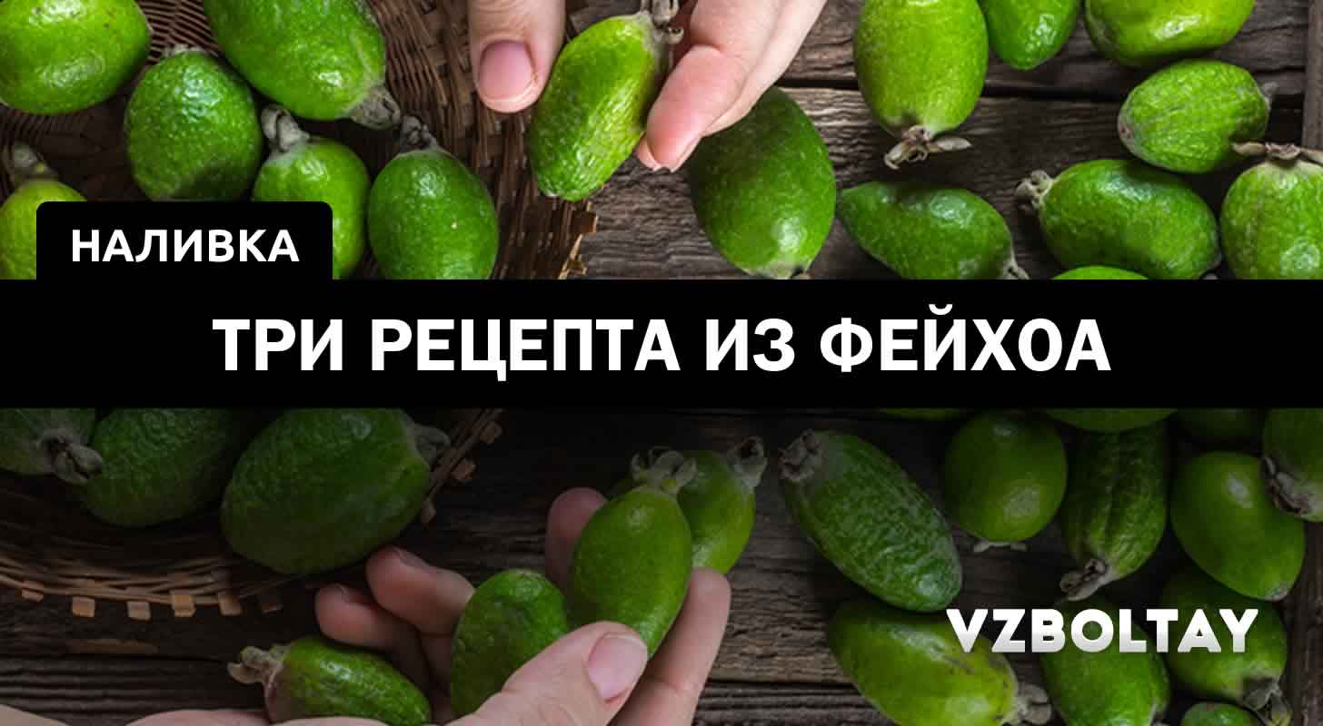 Наливка из фейхоа: 3 рецепта в домашних условиях