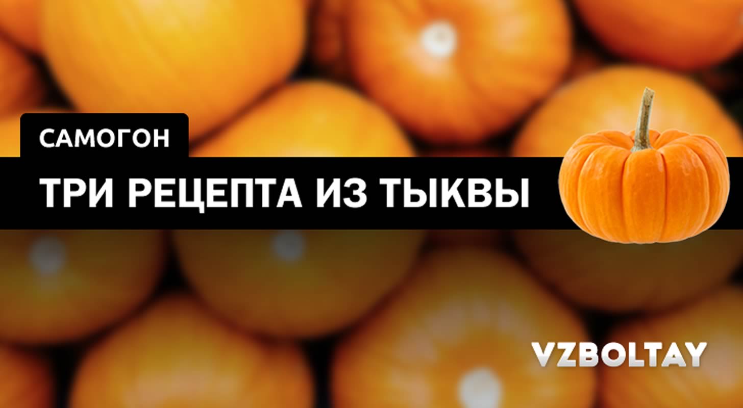 Самогон из тыквы: 3 рецепта в домашних условиях