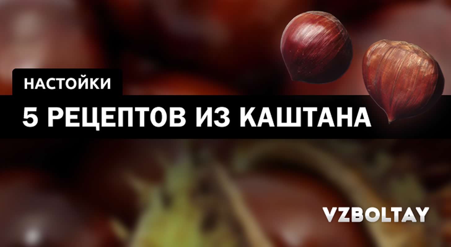 Настойка каштана: 5 рецептов в домашних условиях