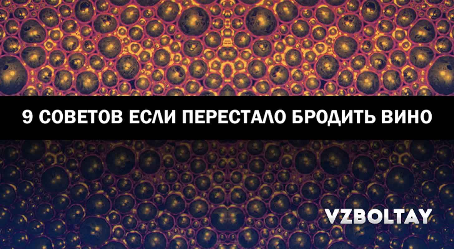 Вино перестало бродить раньше, чем положено: 9 советов, что делать