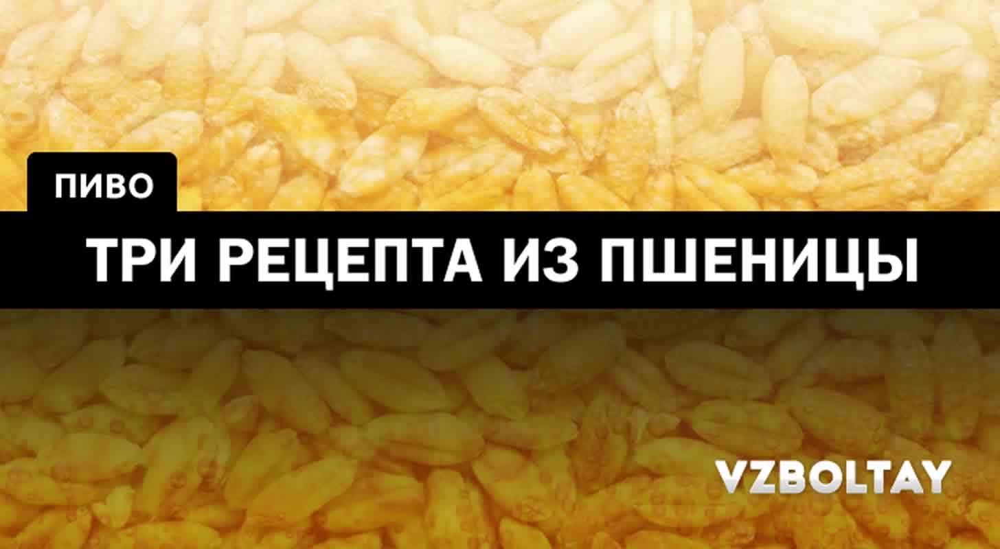 Пшеничное пиво: 3 рецепта в домашних условиях + советы