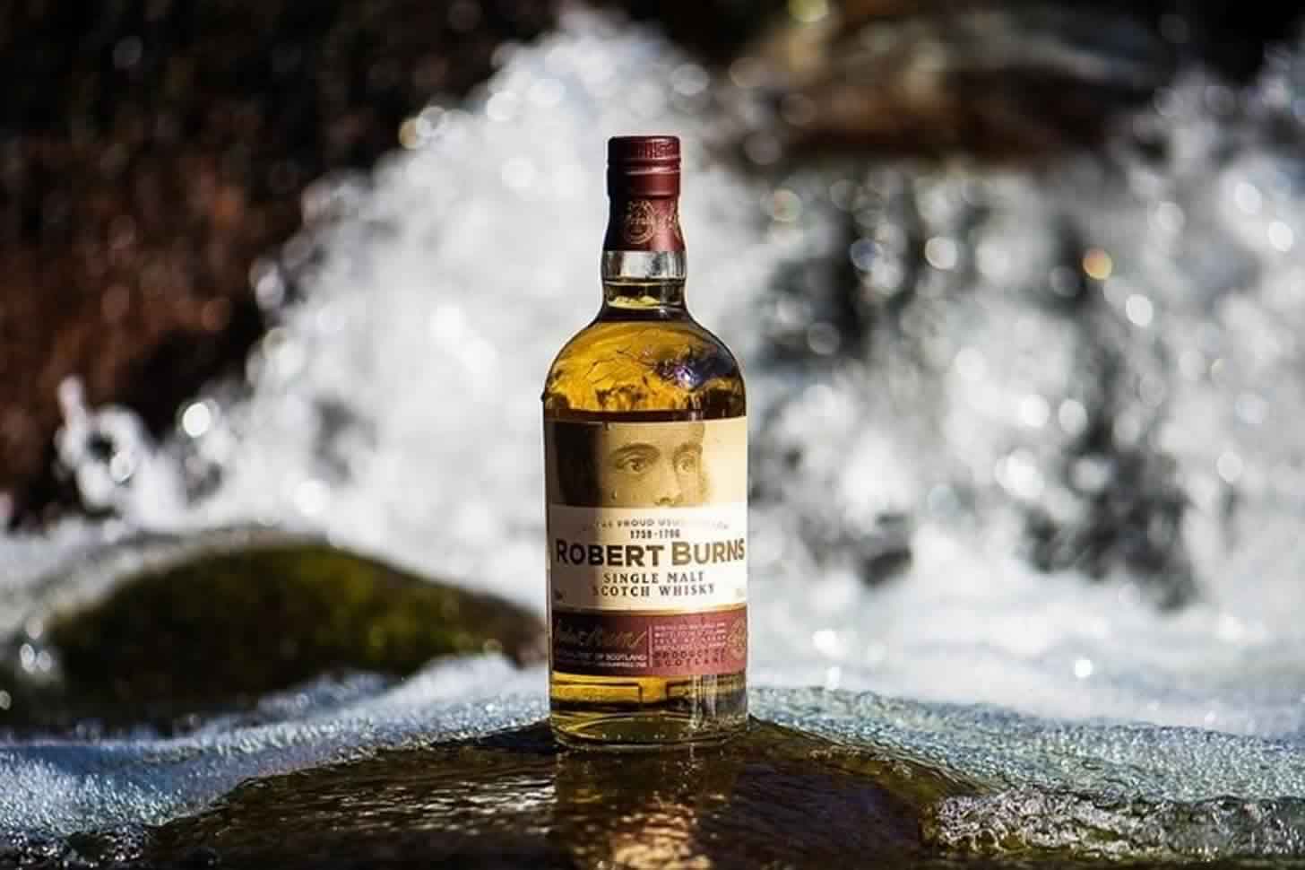 Robert Burns whisky: historia, översikt över smak och typer