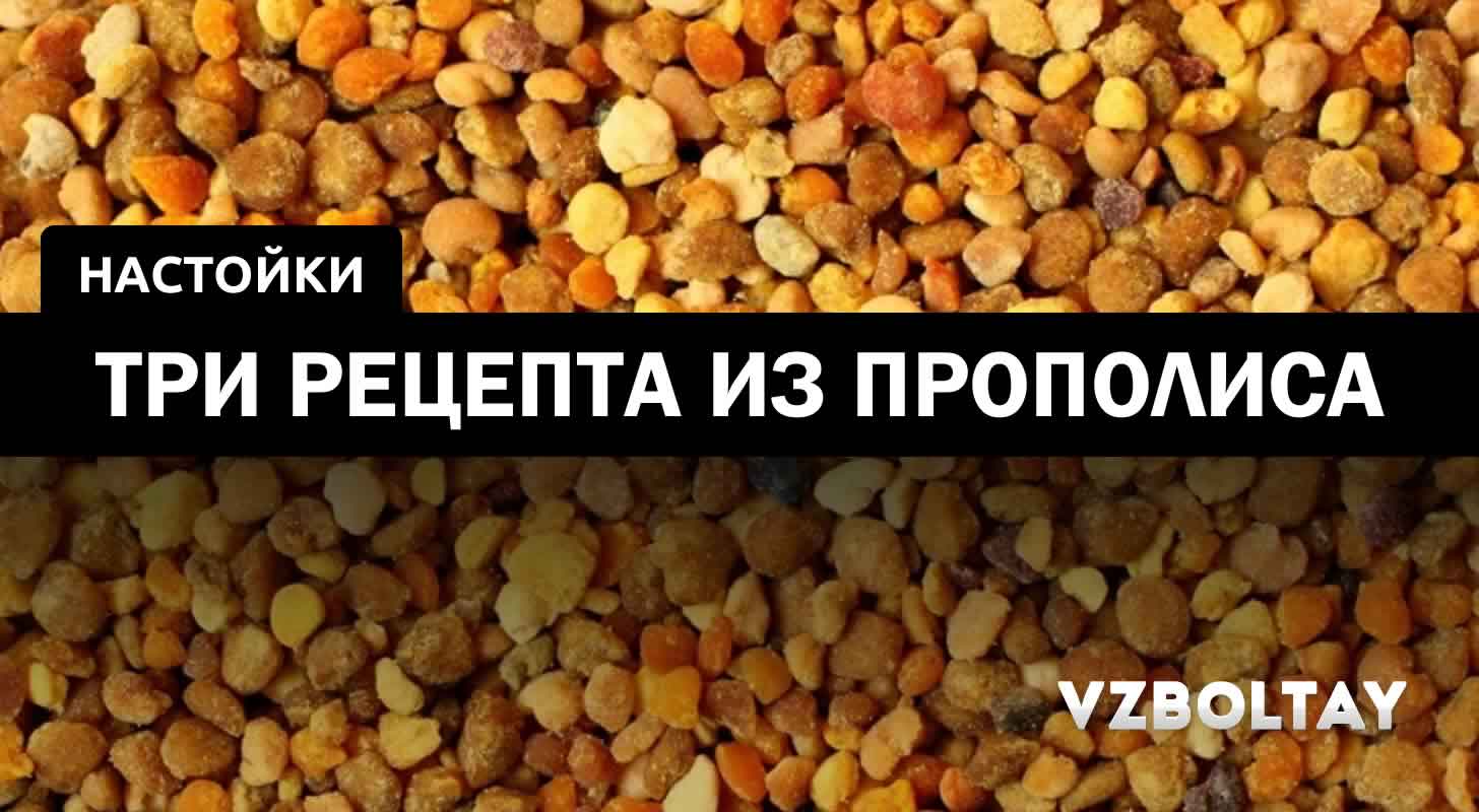 Настойка на прополисе: 3 рецепта в домашних условиях