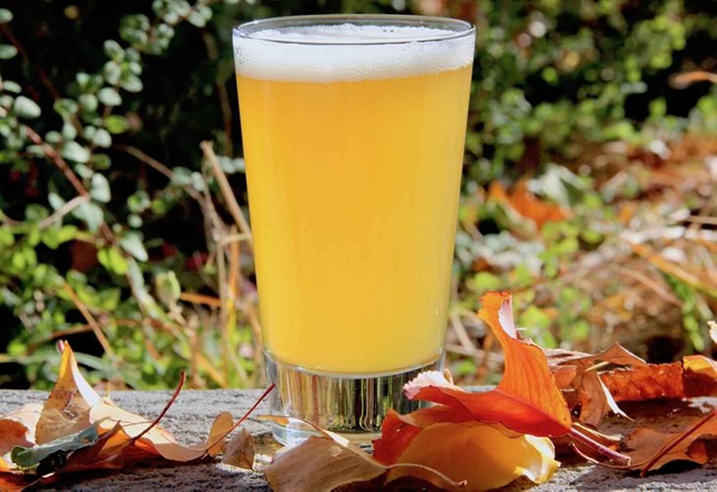 Nefiltrované pivo: história, ako sa vyrába, aký je medzi nimi rozdiel, ktoré značky vyskúšať