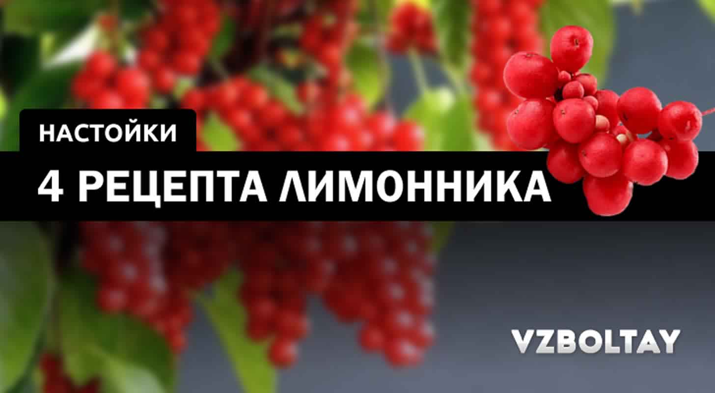 Настойка из лимонника: 4 рецепта + свойства и применение