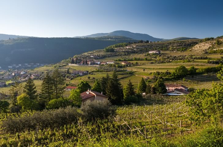 Valpolicella vingårdar