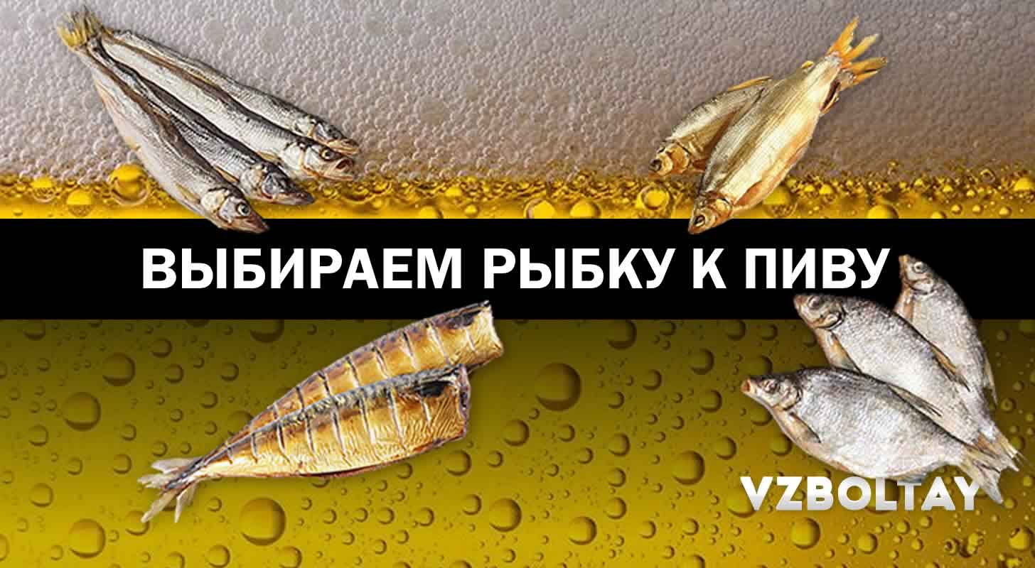 Выбираем рыбку к пиву: все нюансы в одном месте