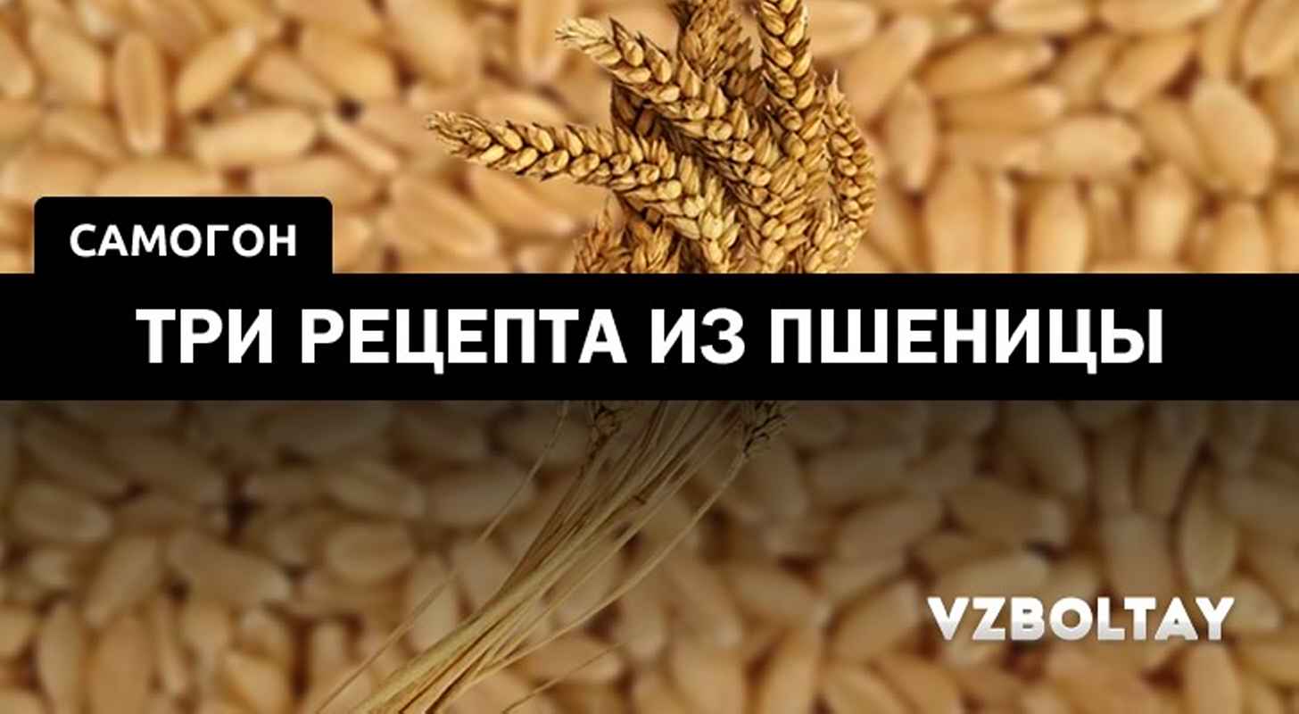 Самогон из пшеницы: 3 рецепта в домашних условиях