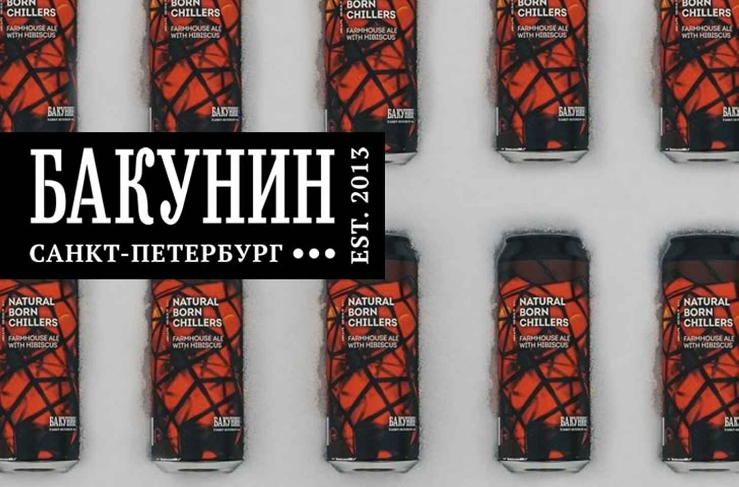 Бакунин пиво: история, обзор видов + интересные факты