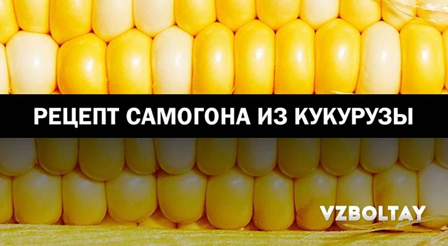 Самогон из кукурузы: рецепт в домашних условиях