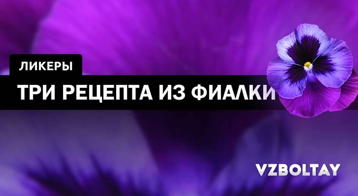 Фиалковый ликер: 3 рецепта в домашних условиях