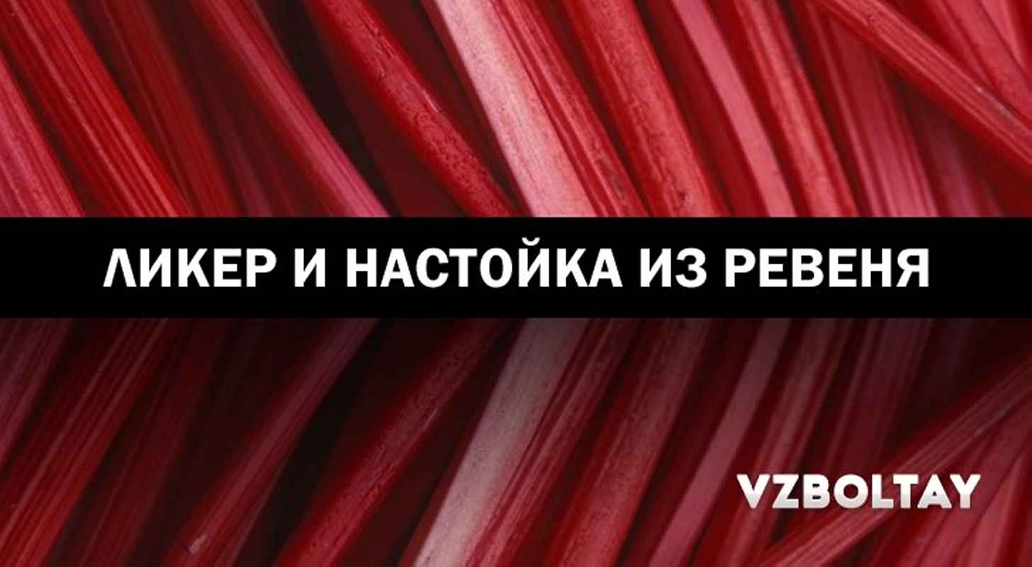 Ликер и настойка из ревеня: 2 рецепта в домашних условиях