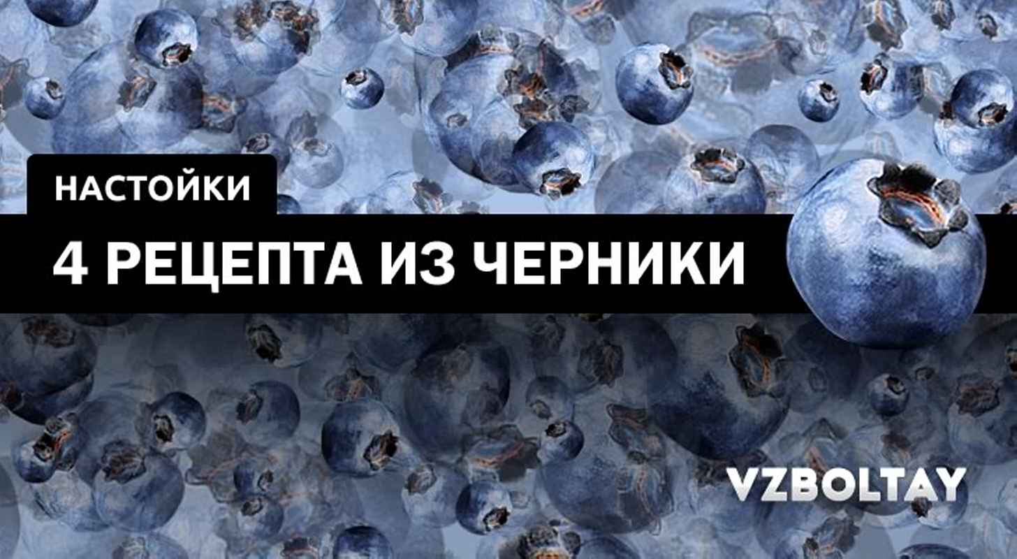 Настойка из черники: 4 рецепта в домашних условиях