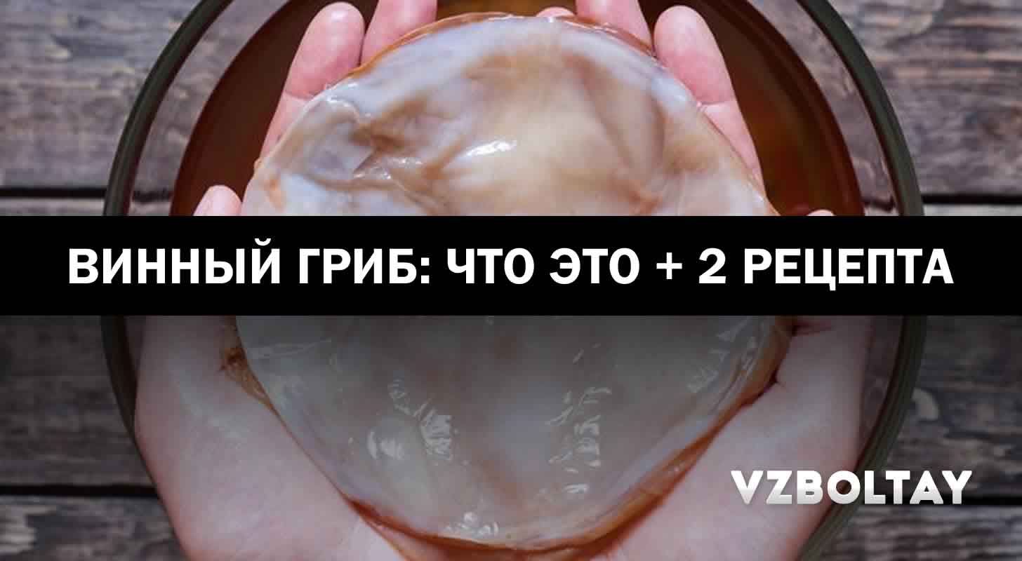 Винный гриб: что это + 2 универсальных рецепта