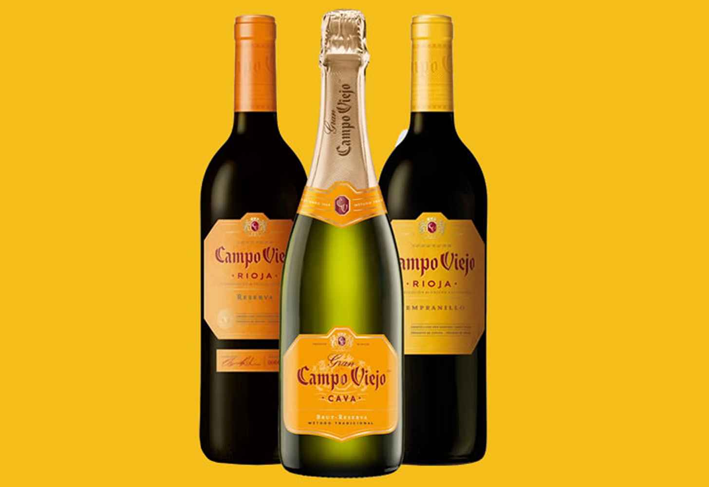 Campo Viejo: история, преглед, видове, как и с какво да се пие, интересни факти