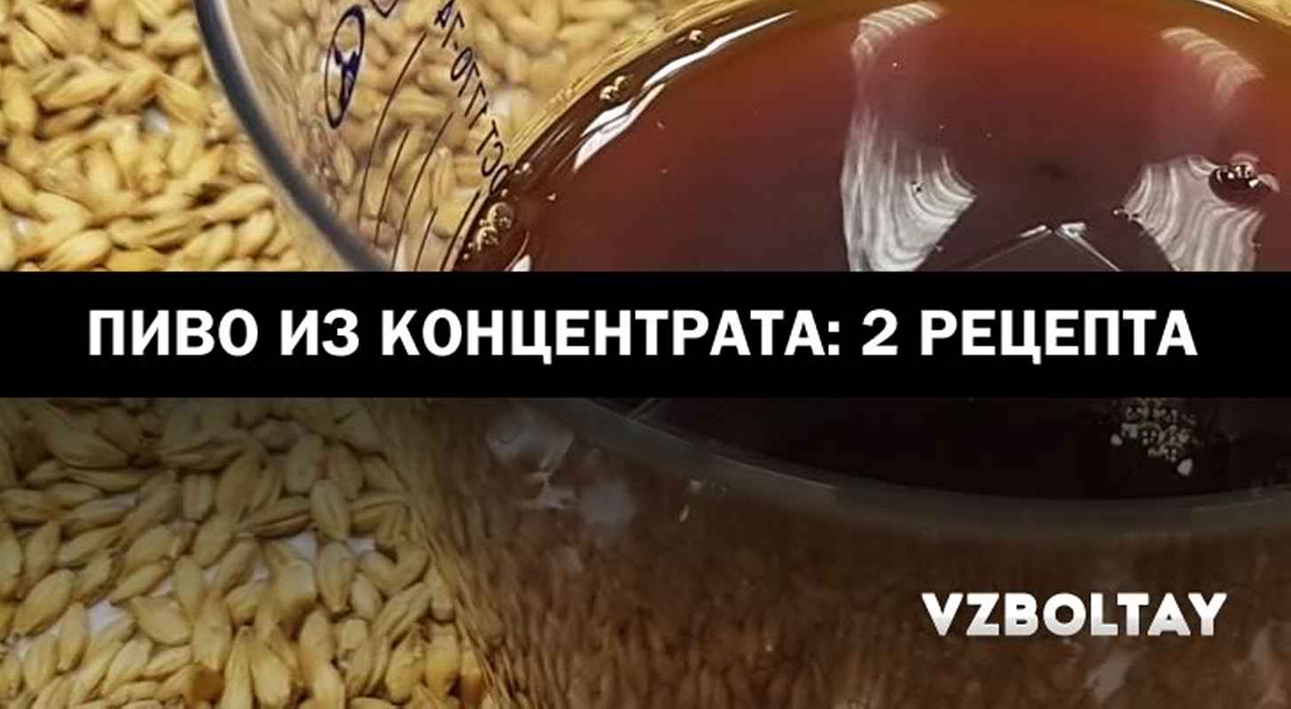 Пиво из концентрата: 2 рецепта в домашних условиях + советы