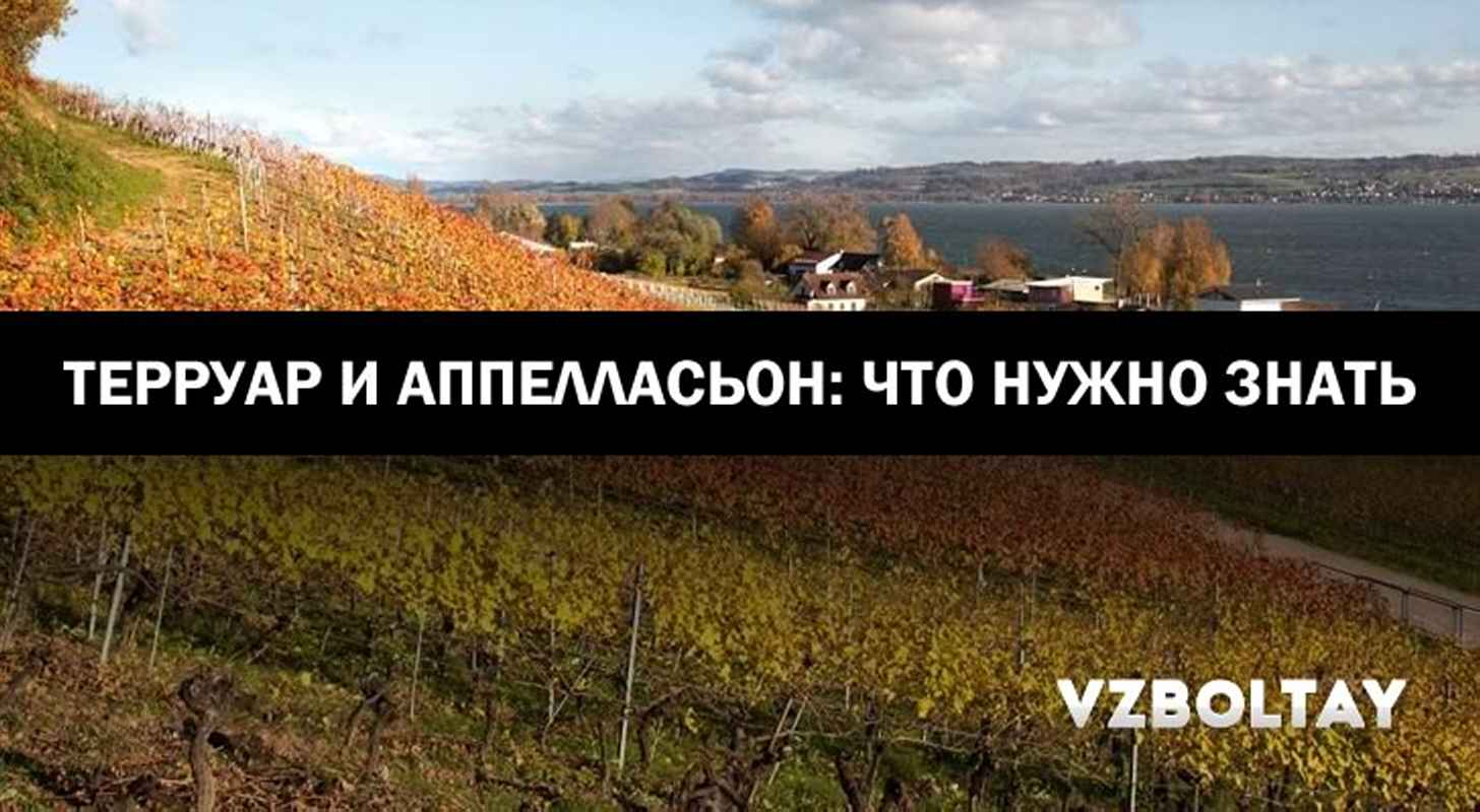 Терруар и аппелласьон: что нужно знать