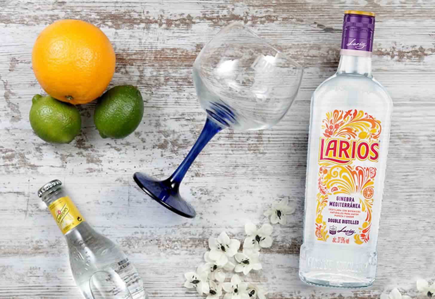Larios gin: ръководство за алкохол